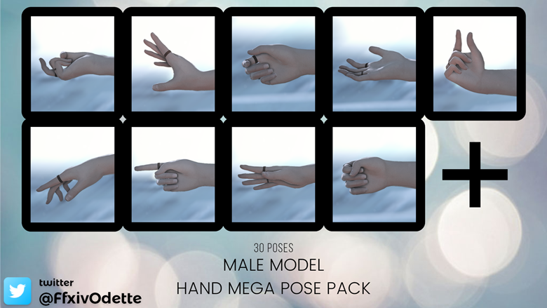Hands Poses. Female Vector & Photo (Free Trial) | Bigstock