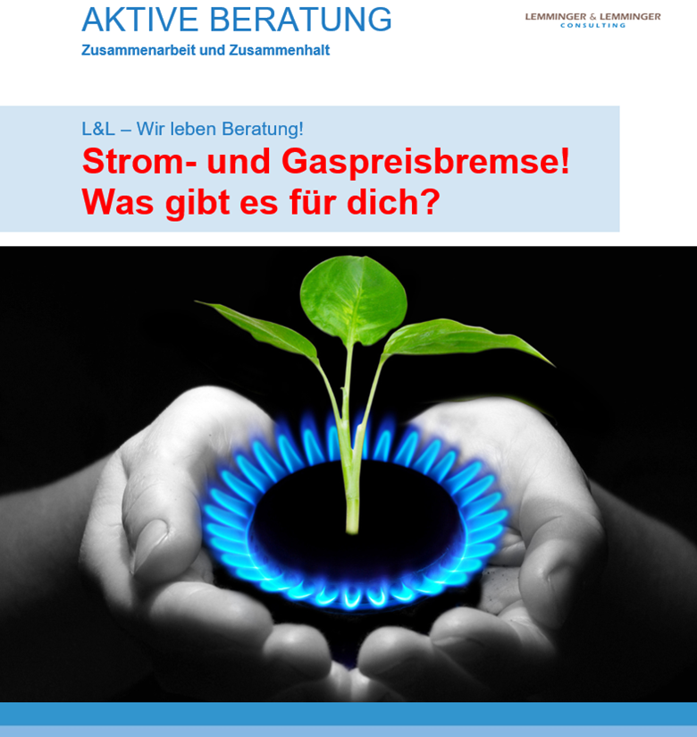 ZASTER Booklet "Strom- Und Gaspreisbremse! Was Gibt Es Für Dich ...