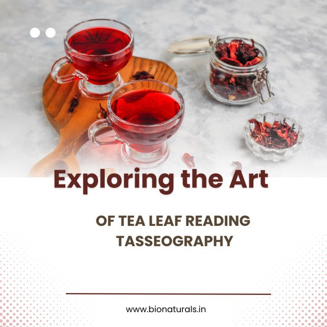 Exploring the Art of Tea Leaf Reading Tasseography