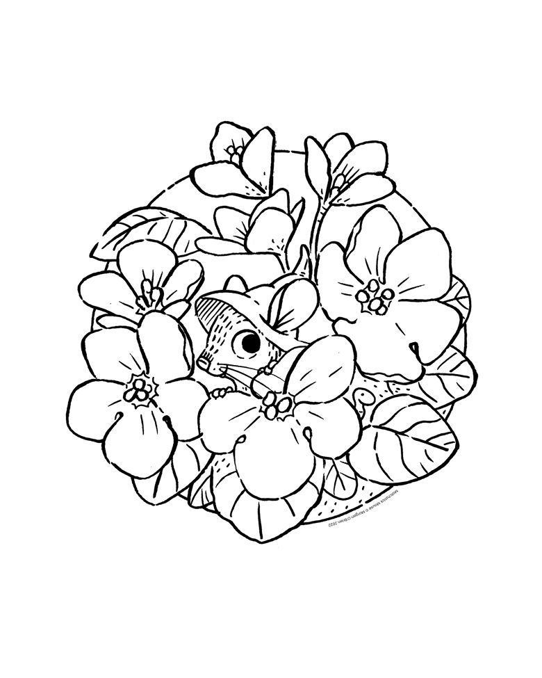 Matchstick Mouse: A Floral Coloring Book - morganobrienart 's Ko-fi ...