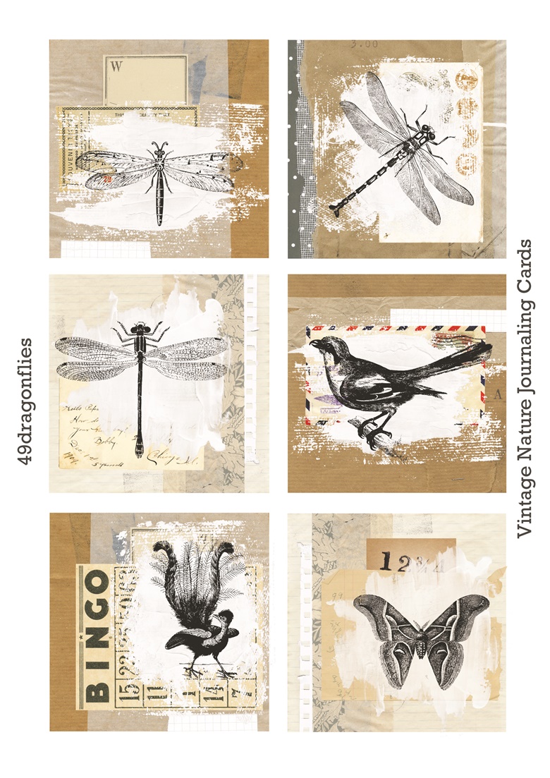 Vintage Nature Journaling Cards - 49dragonflies's Ko-fi Shop - Ko-fi ️ ...