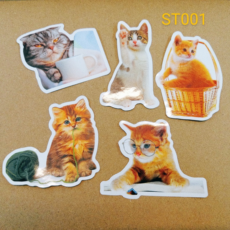 Kitties In Real Life Stickers Set of 5 - Mint Shop's Ko-fi Shop - Ko-fi ...