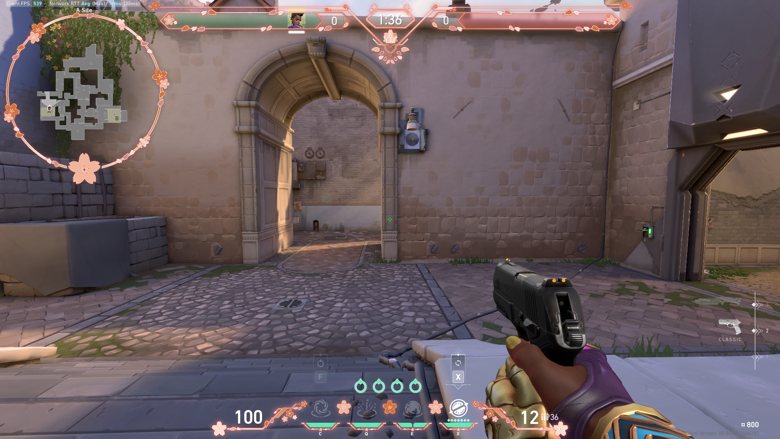 Sakura Spring Valorant Overlay | HUD Customizable Size | 8