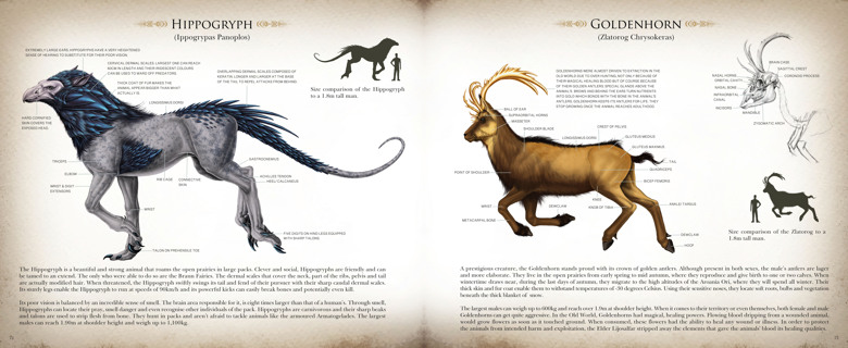 The Illustrated Bestiarium - The ultimate guide to all sorts of ...