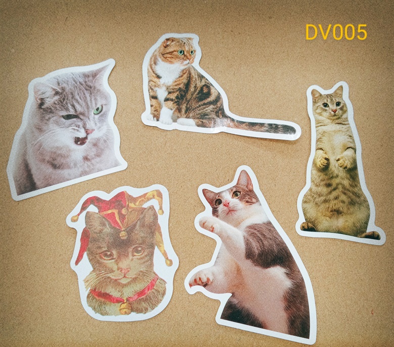 Kitties In Real Life Stickers Set of 5 - Mint Shop's Ko-fi Shop - Ko-fi ...