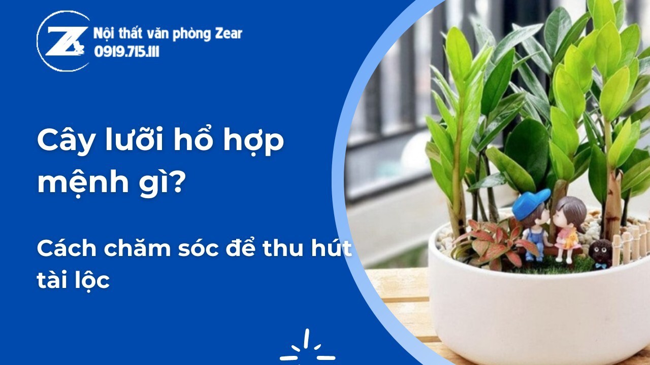 Cây Lưỡi Hổ Xanh Hợp Mệnh Gì?