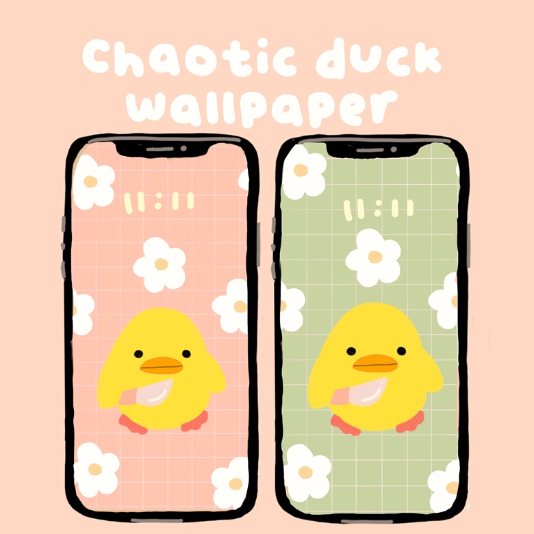 Duck Wallpaper  NawPic