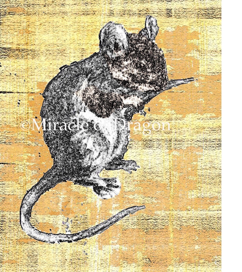 House Mouse - Signed Fine Art Print - inkart