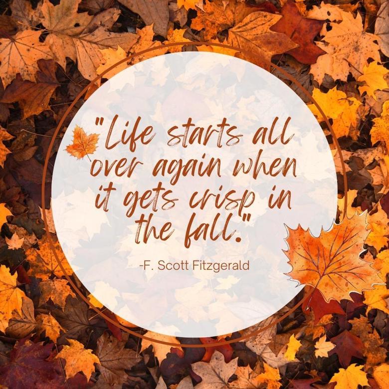 Fall Quotes Social Media Plan For Instagram - Cheyann Design's Ko-fi 