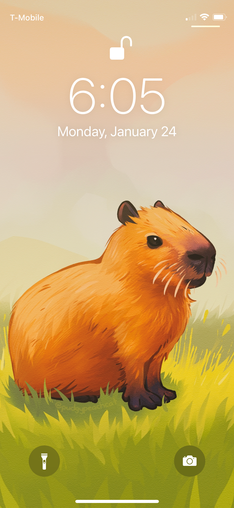 Capybara on a laptop with snacks and drink - Capybara - Posters and Art  Prints | TeePublic