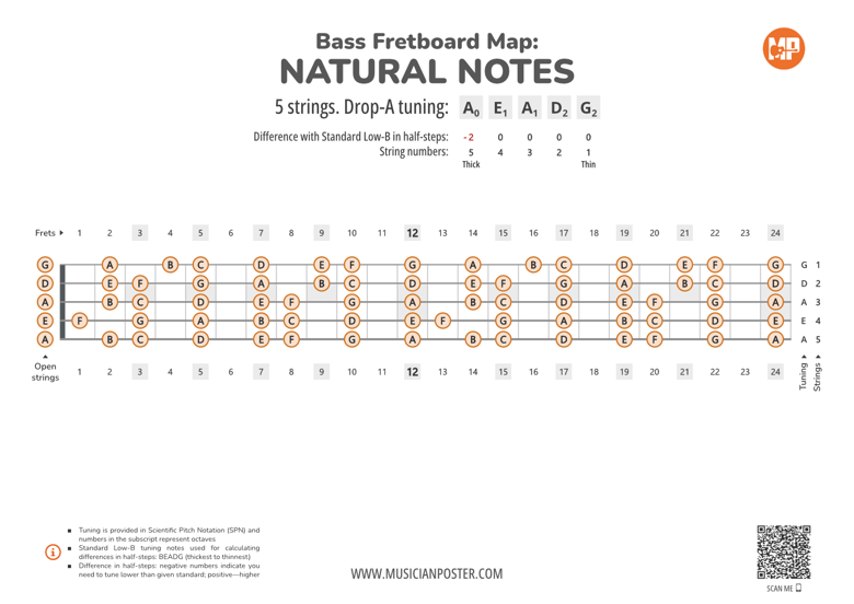 5-String Bass Fretboard Map With Naturals In Drop-A Tuning - Musician