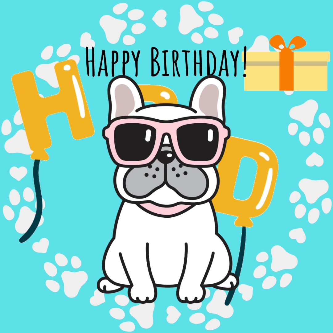 Happy Birthday Frenchie 2 Gif - Twitterrudel App's Ko-fi Shop - Ko-fi ️ ...