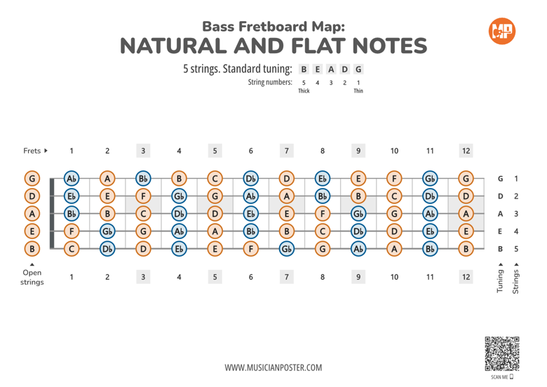 5-string-bass-guitar-pdf-fretboard-chart-with-all-notes-musician