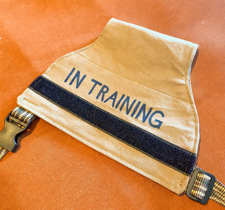 Tan ‘in training’ vest - Mishka’s K9 Gear's Ko-fi Shop - Ko-fi ️ Where ...