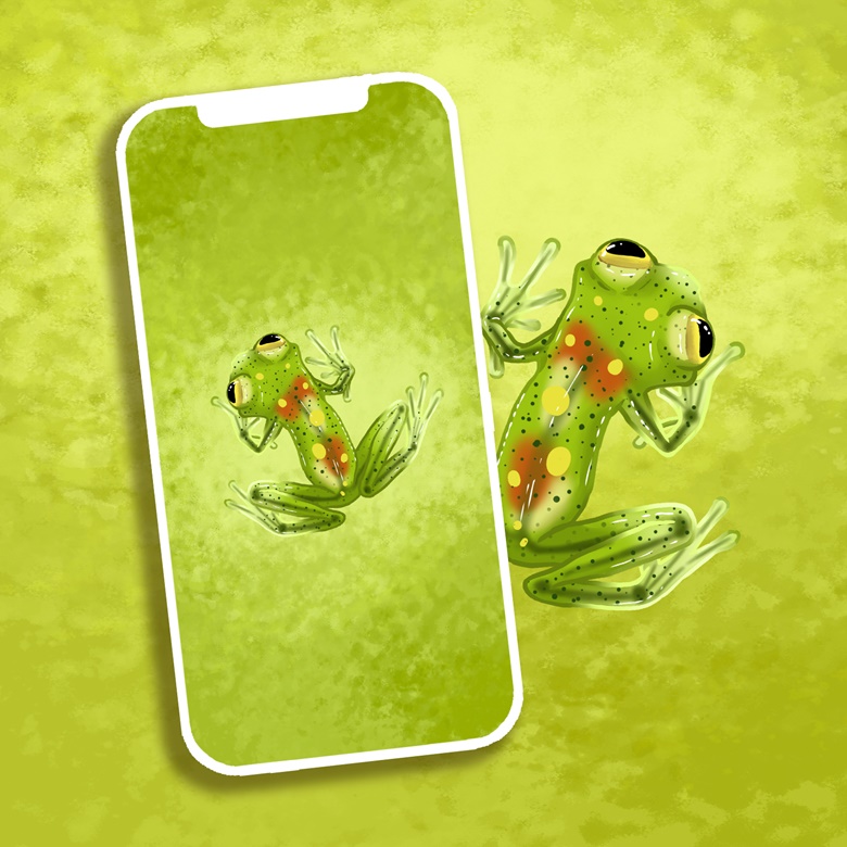 AKET Cute Frog Animated Wallpaper497 Latest Designer Printed Mobile Back  Hard Case Cover for Realme