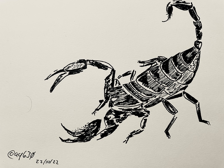 How to draw a scorpion step by step - YouTube