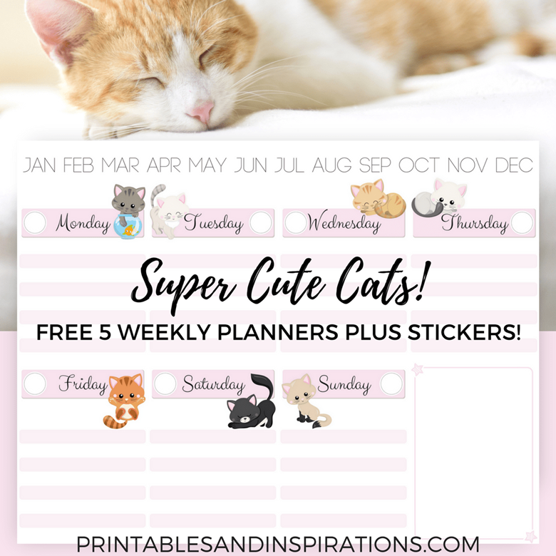 Cat / Kitten Printable Planner Stickers