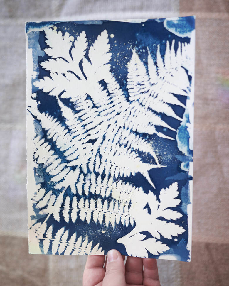 fern-cyanotype-kit-felis-s-ko-fi-shop-ko-fi-where-creators-get