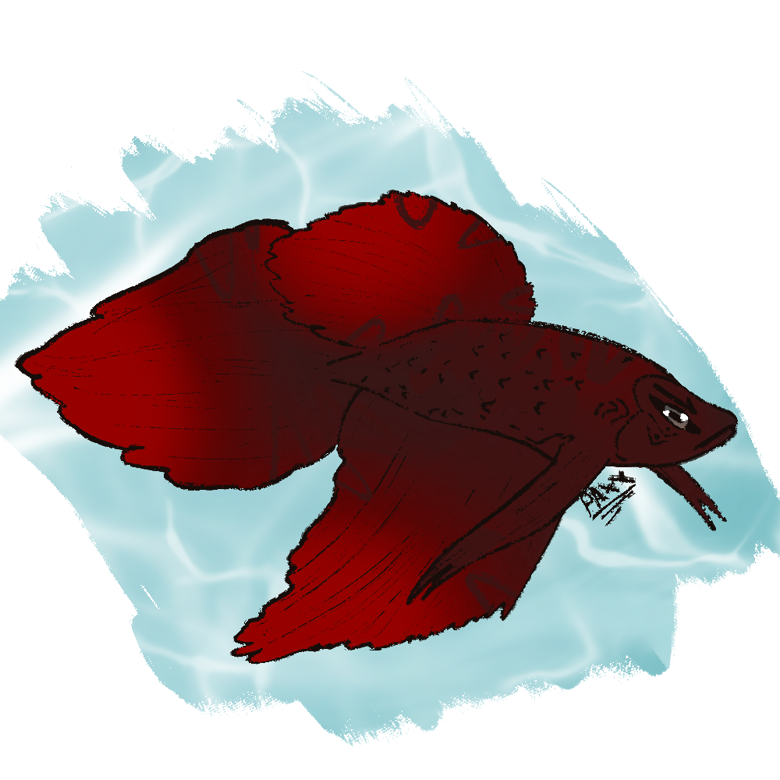 Betta Fish Adopt PaxxRen s Ko fi Shop Ko fi Where Creators Get if-you-see-this-hanging-from-your-fish-start-these-treatments-fast