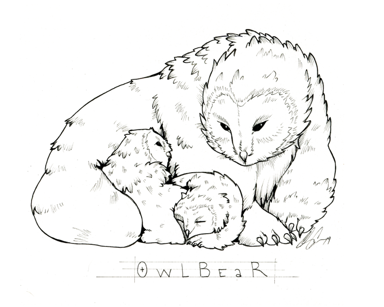 owl coloring page in black and white little bear