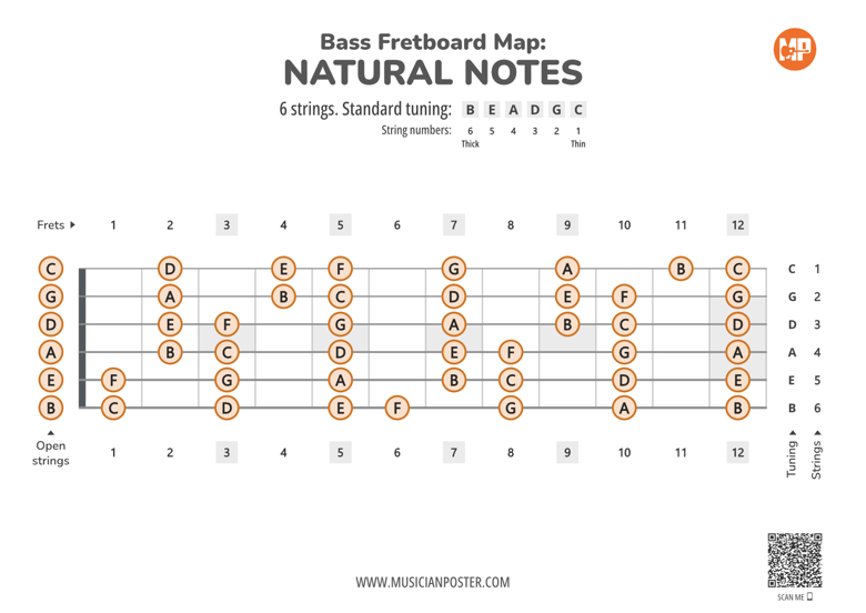 6-String Bass Printable Fretboard Map With Natural Notes - Musician ...