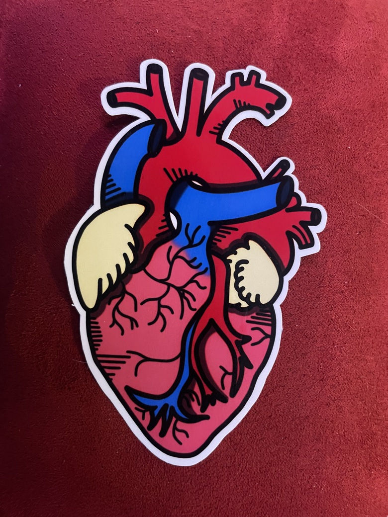 Anatomical Heart Sticker