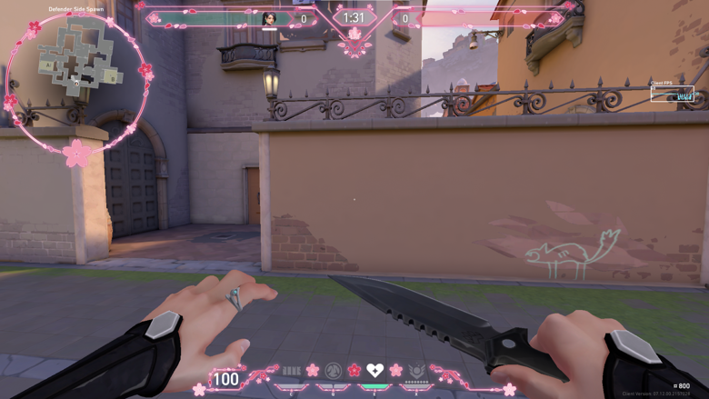 Sakura Spring Valorant Overlay | HUD Customizable Size | 8