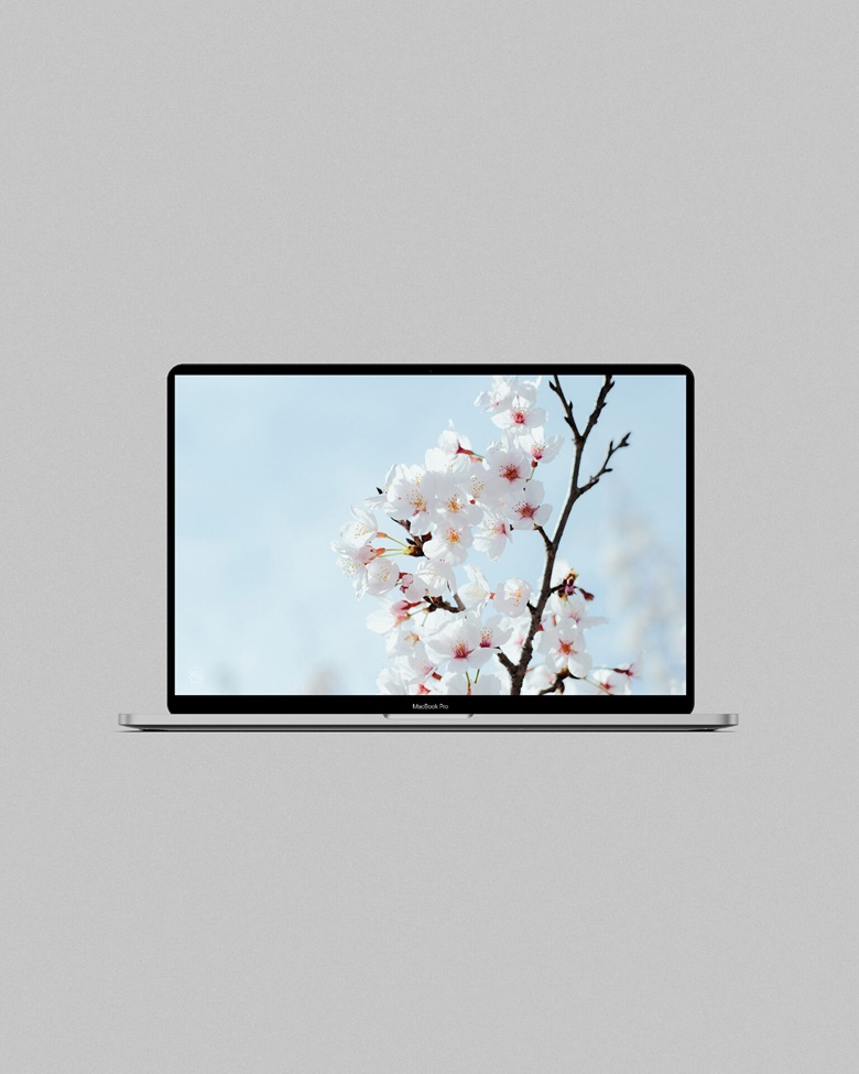 Soft Sakura Wallpapers - Desktop & Phone [4k] - Marina González's Ko-fi ...