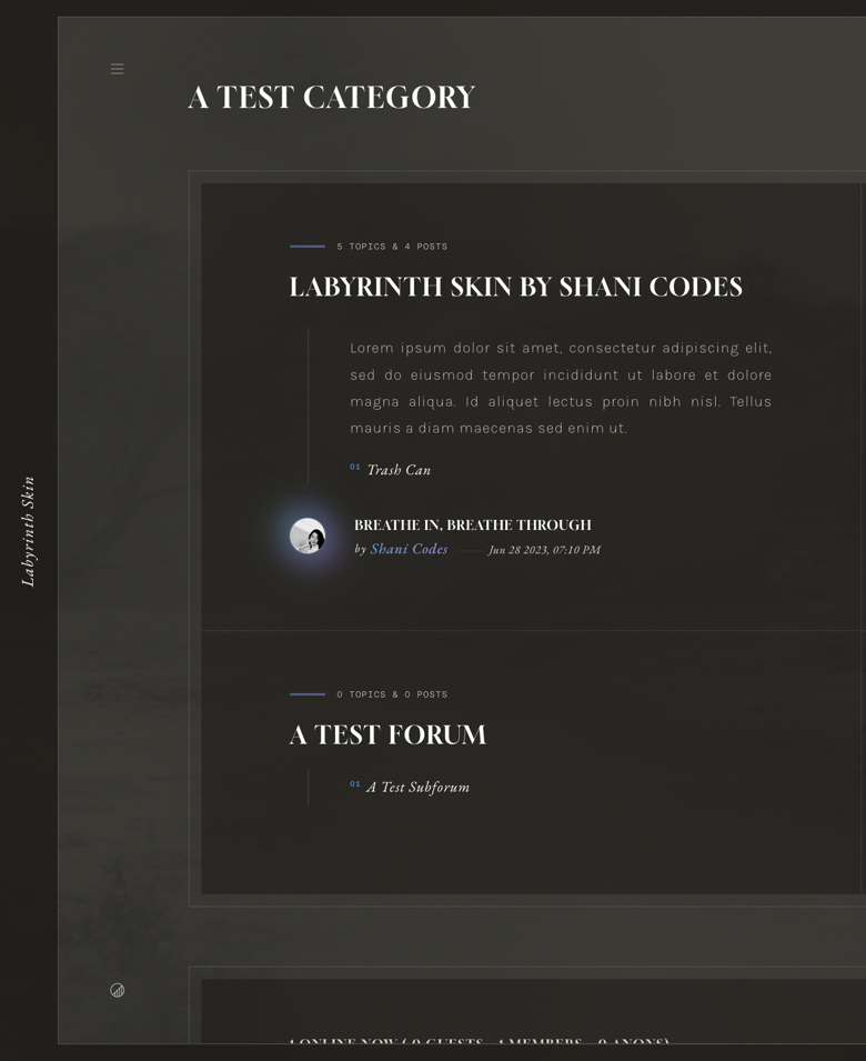 Labyrinth Skin - shani's Ko-fi Shop