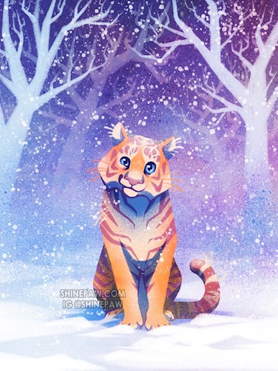 Tiger’s first snow