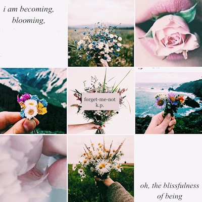 moodboard for “forget-me-not”
