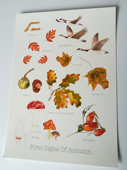 First Signs of Autumn print. 
