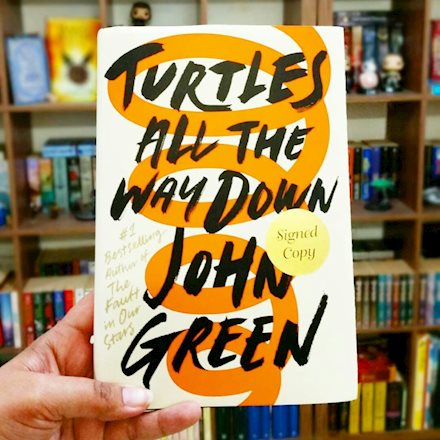 Turtles All The Way Down Book Review :)