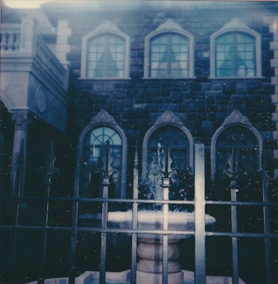 Riggi Mansion Polaroid