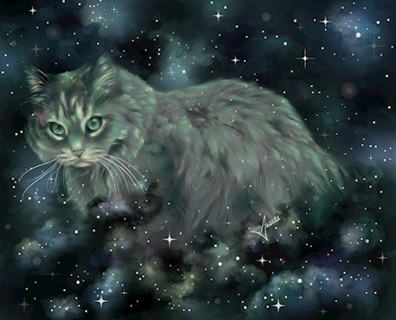 Space kitty commission !