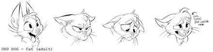 Cat's Expressions