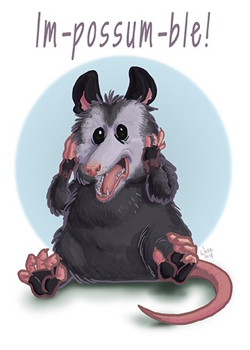 Possum Pun