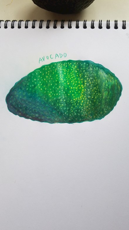 Polychromos avocado 