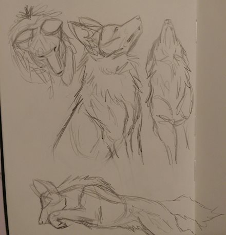 Maned wolf doodles