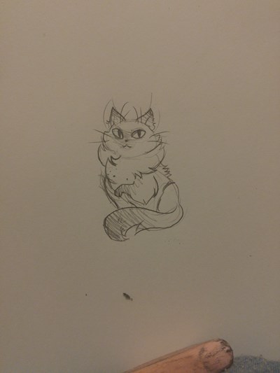 Thank you sketch: fluff cat