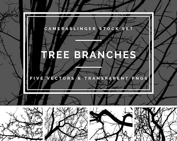 Tree Branch Silhouettes! 