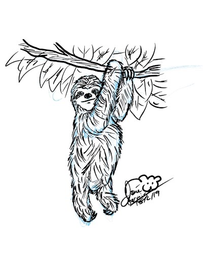 Sloth (Doodle Request for Michelle!)