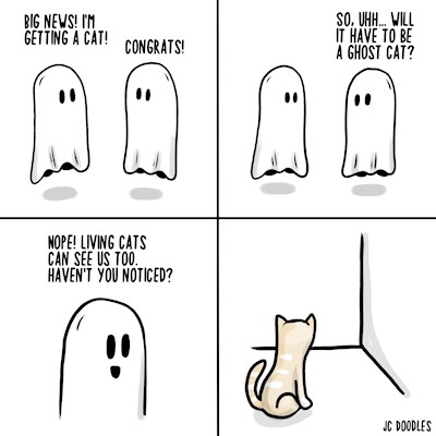 Ghost cat