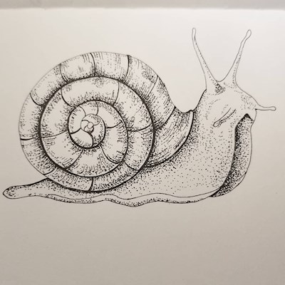 Realistic Snail
