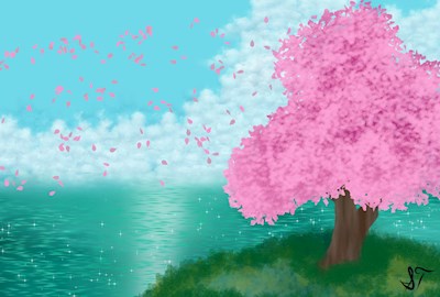 Sakura breeze
