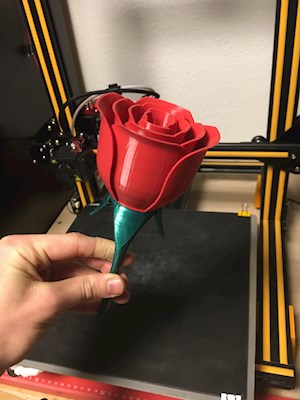 A rose for you!