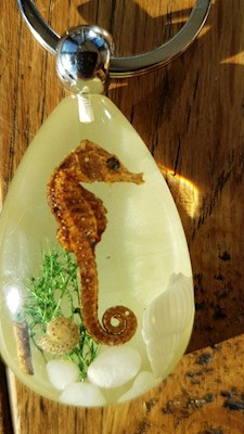 Real seahorse in resin pendant