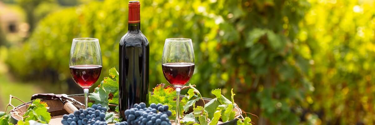 What is wine bottle shock or bottle sickness? - Wine & More