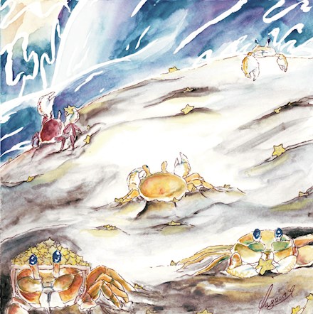 Star Collecting Crabs