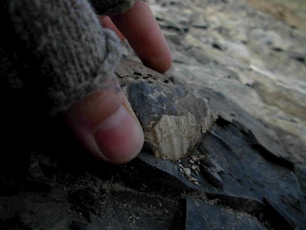 Fossil hunting in Alaska